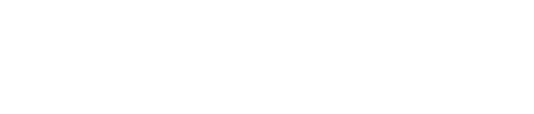 rsa solutions - software and business solutions